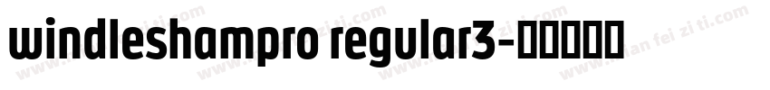 windleshampro regular3字体转换